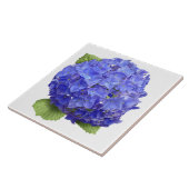 Carreau Blue Hydrangea Flower Botanical Art (Côté)