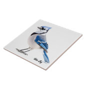 Carreau Blue Jay (Côté)