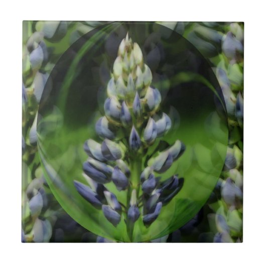Carreau Blue Lupine Flower Art Abstrait (Devant)
