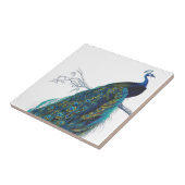 Carreau Blue Peacock with beautiful tail feathers (Côté)