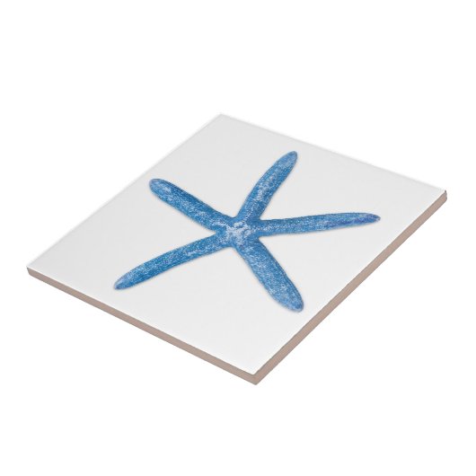 Carreau Blue Starfish (Côté)