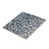 Carreau Blueberges (Côté)