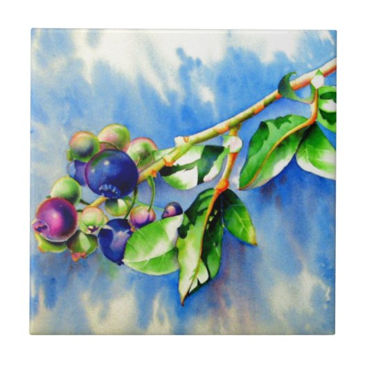 Carreau Blueberges (Devant)