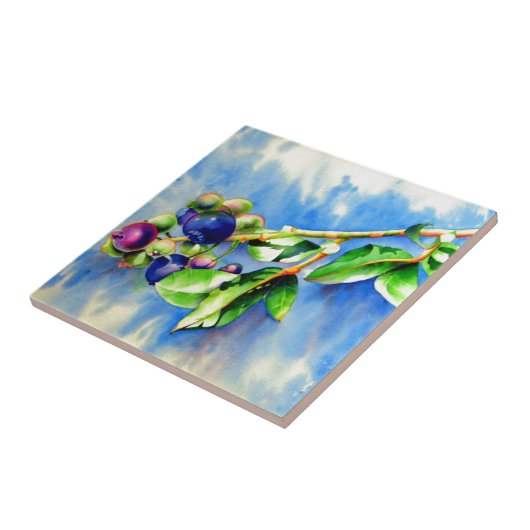 Carreau Blueberges (Côté)