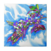 Carreau Blueberry Solar (Devant)