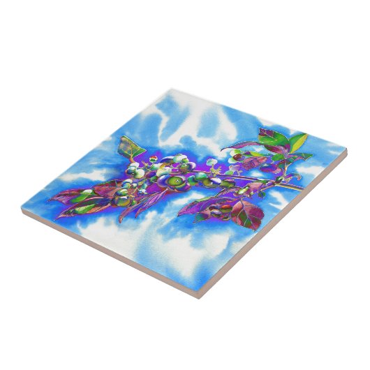 Carreau Blueberry Solar (Côté)