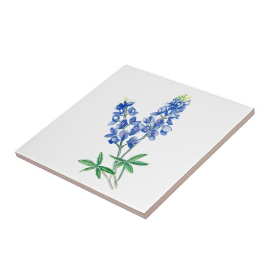 Carreau Bluebonnet 3 (Côté)