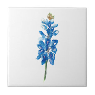 Carreau Bluebonnet 5