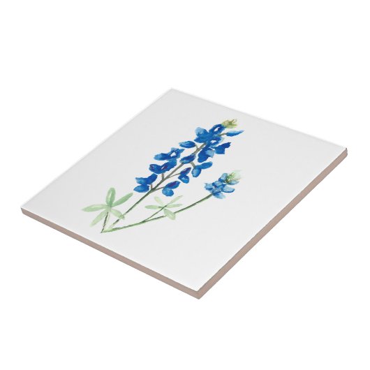 Carreau Bluebonnet 6 (Côté)