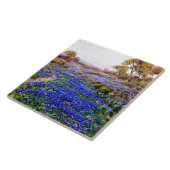 Carreau Bluebonnets à Twilight, au nord de San Antonio, (Côté)