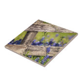 Carreau Bluebonnets de Texas autour d'une barrière de pays (Côté)