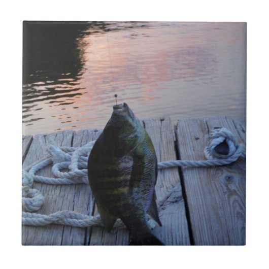 Carreau Bluegill au coucher du soleil Lac Arrowhead (Devant)