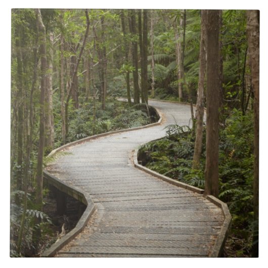 Carreau Boardwalk to Nelson Falls, Franklin - Gordon (Devant)