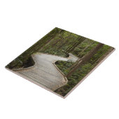 Carreau Boardwalk to Nelson Falls, Franklin - Gordon (Côté)