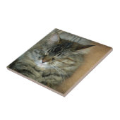 Carreau Bob (Côté)