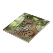 Carreau BobcatBCR032 (Côté)