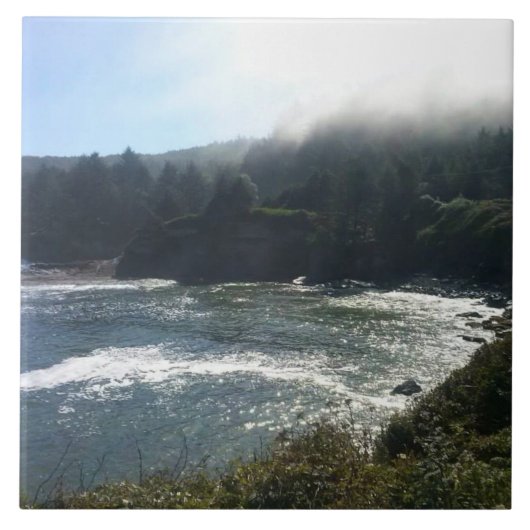 Carreau Boiler Bay, OR (Devant)