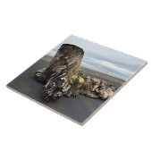 Carreau Bois de chauffe à Benson Beach, Cape Disnomination (Côté)