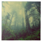 Carreau Bois Du Bas (Devant)