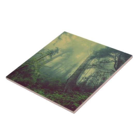 Carreau Bois Du Bas (Côté)