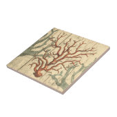 Carreau Bois et petit corail (Côté)