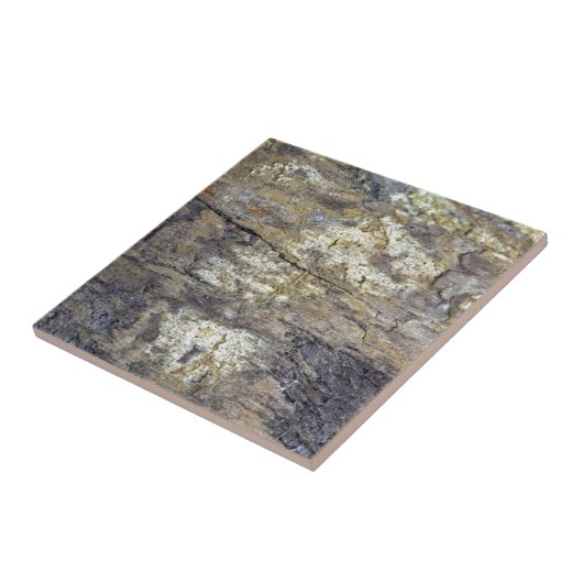 Carreau Bois fossile (Côté)