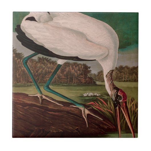 Carreau Bois Ibis Oiseaux d'Amérique Audubon Imprimer (Devant)