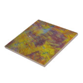 Carreau Bois pétrifié (Côté)