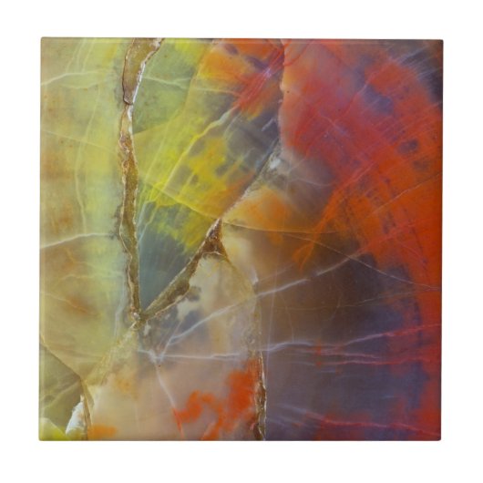 Carreau Bois petrifié à l'arc-en-ciel (Devant)