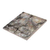 Carreau Bois Petrified, avant (Côté)