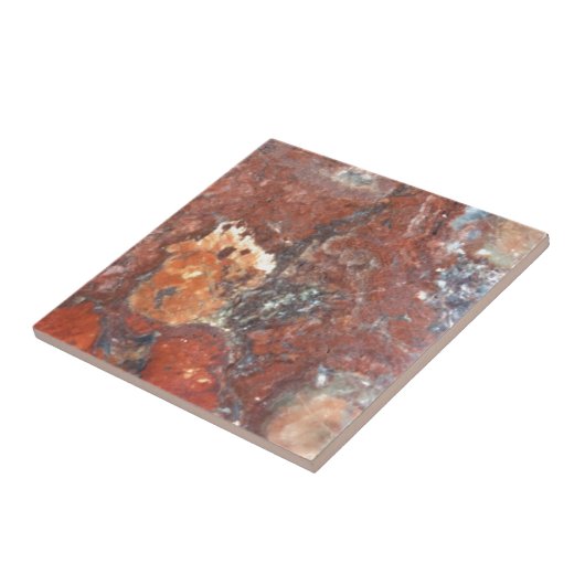 Carreau Bois Petrified d'AZ (Côté)