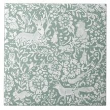 Bois Sage Green Forêt Animaux Renard Renard Renard