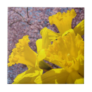 Carreau Boîtes de gardiennage de fleurs de jonquilles jaun