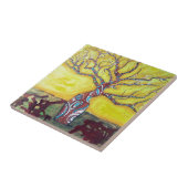 Carreau Bokab (Côté)