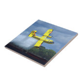 Carreau Bombe à eau canadien 274 (Côté)