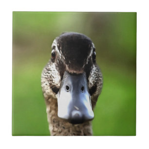 Carreau Bonjour Ducky Quirky Duck Portrait