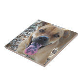 Carreau Bonne langue tachetée de chien (Côté)