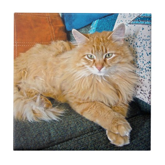 Carreau Boppy (Devant)