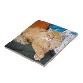 Carreau Boppy (Côté)