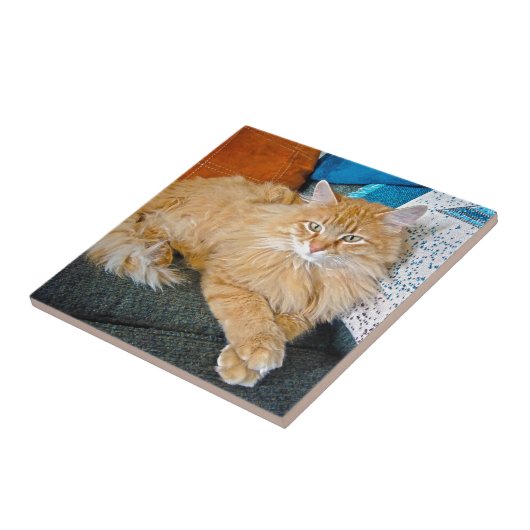 Carreau Boppy (Côté)