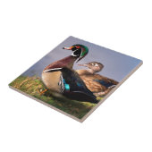 Carreau Bord de lac, Canard branchu (Côté)