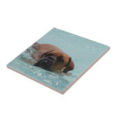 Carreau Bordeaux de natation (Côté)