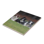 Carreau border collie (Côté)