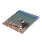 Carreau Border collie à la plage (Côté)