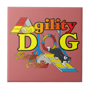 Carreau Border Collie Agilité