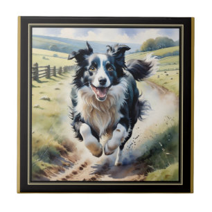 Carreau Border Collie en course