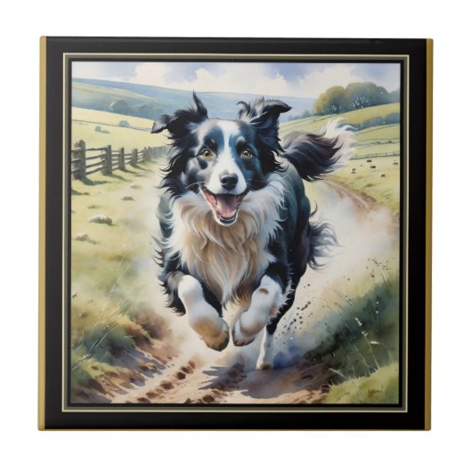 Carreau Border Collie en course (Devant)