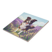 Carreau Border Collie Heureux Champ de Lavande (Côté)