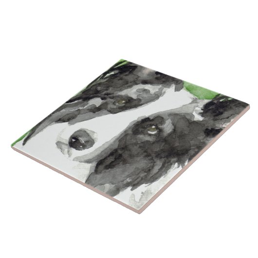 Carreau Bordure Collie Aquarelle (Côté)