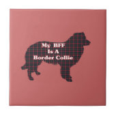 Carreau Bordure Collie BFF (Devant)